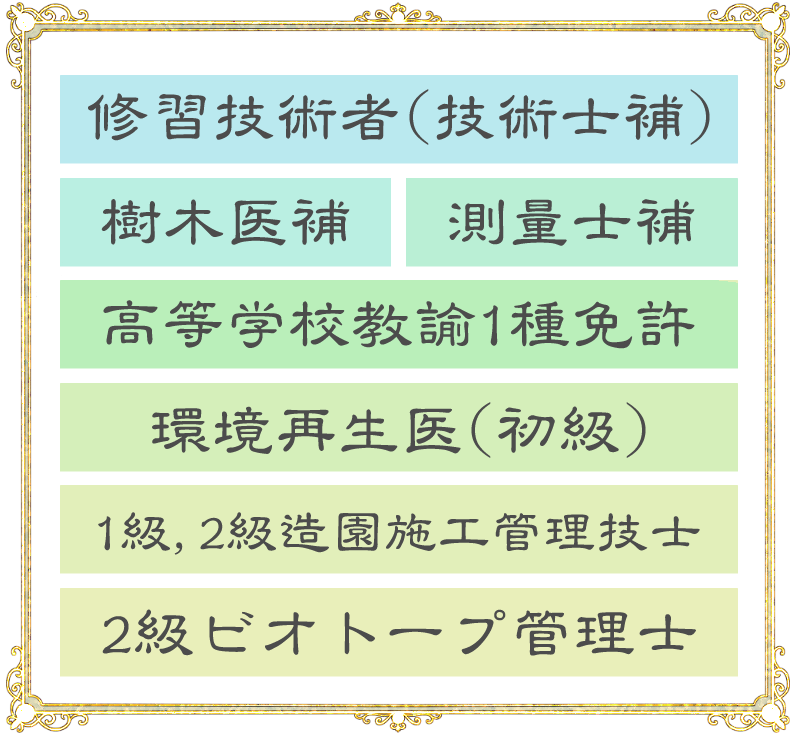 資格