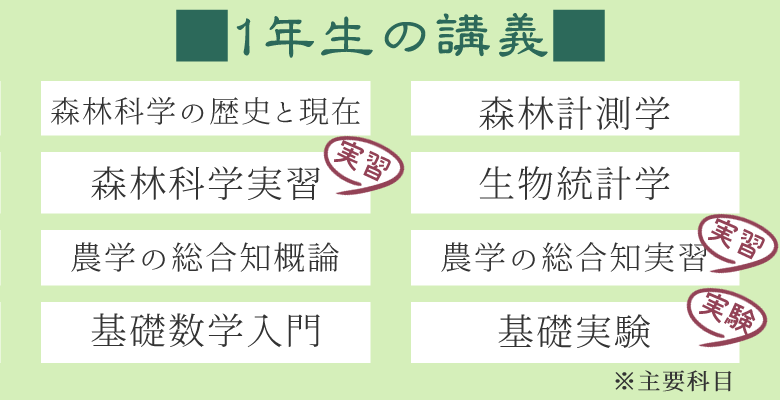 カリキュラム