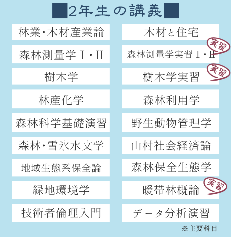 カリキュラム