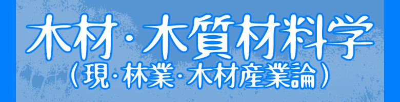 先輩の声