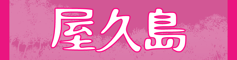 先輩の声
