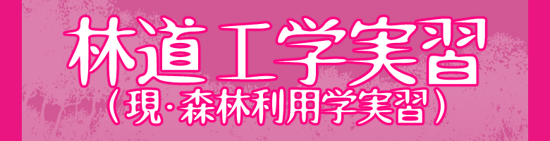 先輩の声