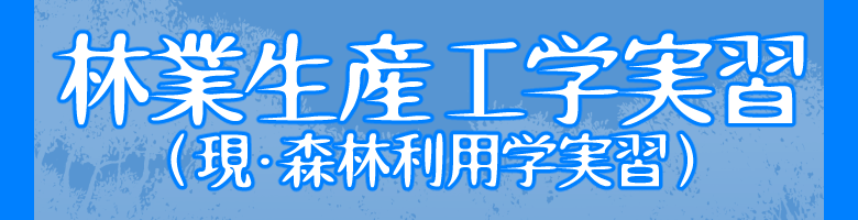 先輩の声