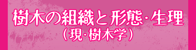 先輩の声